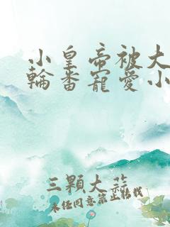 小皇帝被大臣们轮番宠爱小说