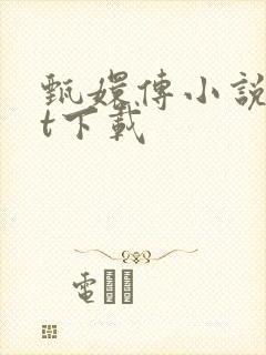 甄嬛传小说txt下载