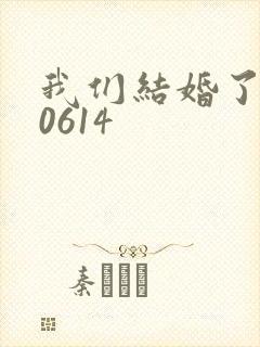 我们结婚了130614