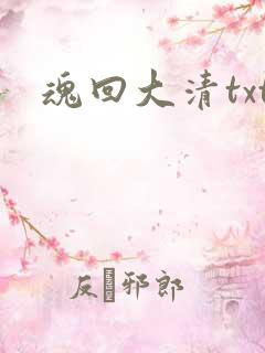 魂回大清txt