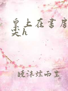 皇上在书房含乳尖h