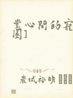 掌心间的宠[校园]