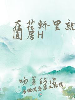 在花轿里就开始圆房H