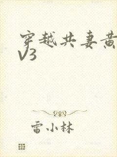 穿越共妻黄暴1V3