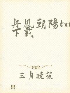 丹凤朝阳txt下载