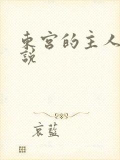 东宫的主人 小说