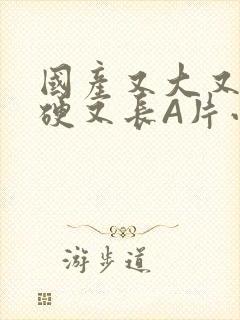 国产又大又粗又硬又长A片小说