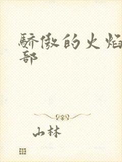 骄傲的火焰第二部