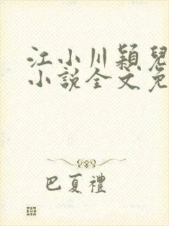 江小川颖儿穿越小说全文免费阅读
