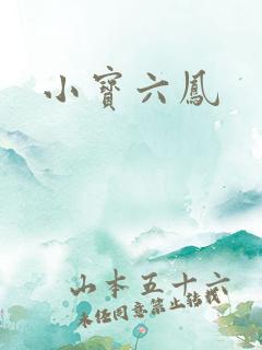 小宝六凤