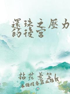 还珠之压力山大的后宫