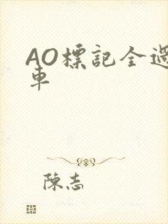 AO标记全过程车