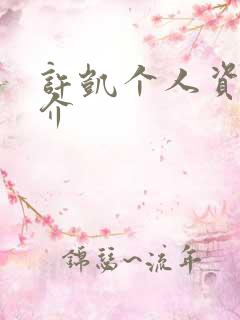 许凯个人资料简介