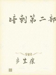 暗刺第二部