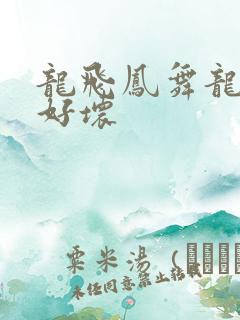 龙飞凤舞龙王你好坏
