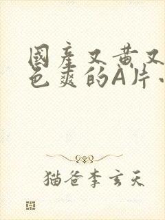 国产又黄又大又色爽的A片小说