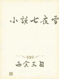 小说七夜雪下载