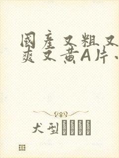 国产又粗又猛又爽又黄A片小说