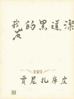 我的黑道洁癖男友