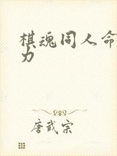 棋魂同人命运之力