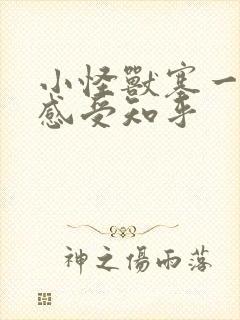 小怪兽塞一天的感受知乎