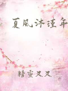 夏风沐瑾年
