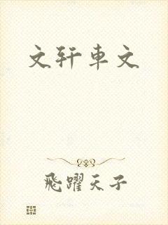 文轩车文