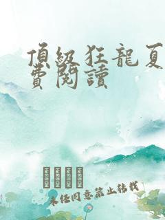 顶级狂龙夏天免费阅读