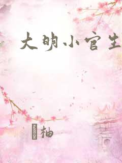 大明小官生活