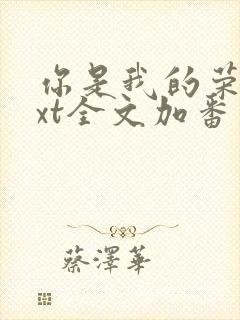 你是我的荣耀txt全文加番外