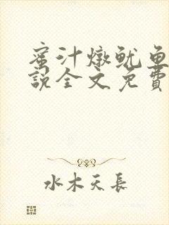 蜜汁炖鱿鱼2小说全文免费阅读