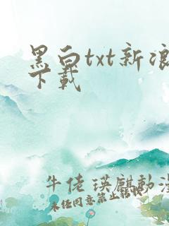黑白txt新浪下载