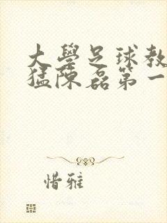 大学足球教练王猛陈磊第一篇