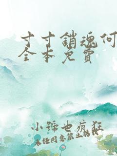 寸寸销魂何生祥全本免费