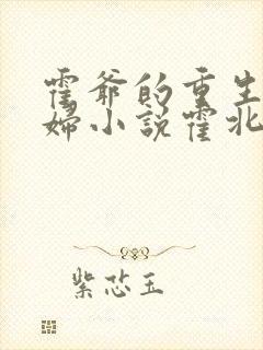 霍爷的重生小媳妇小说霍北江