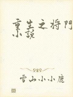 重生之将门毒后小说