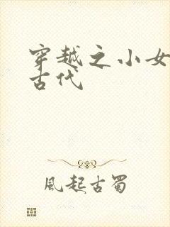 穿越之小女子闹古代