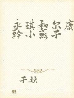 永琪和尔康一起干小燕子