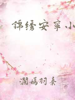 锦绣安宁小说