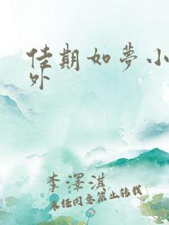 佳期如梦小说番外