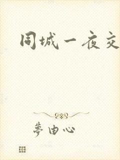 同城一夜交友