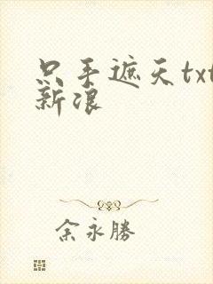 只手遮天txt新浪