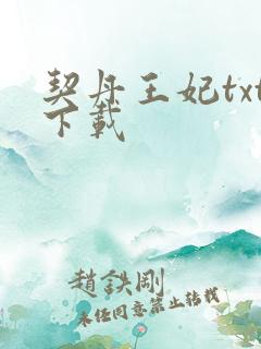 契丹王妃txt下载