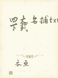 四大名捕txt下载
