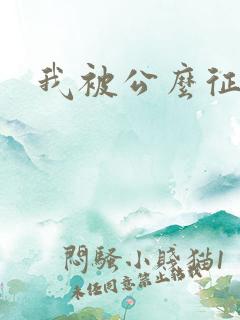 我被公么征服了