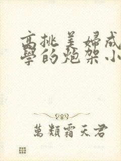 高挑美妇成为同学的炮架小说
