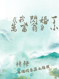 《我闪婚了个亿万富翁》小说