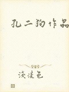 孔二狗作品