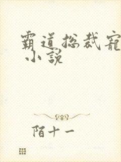 霸道总裁宠上天 小说