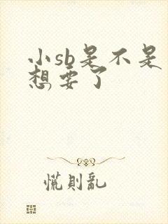 小sb是不是又想要了